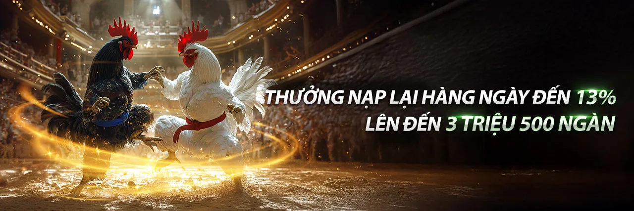 Trực Tiếp Đá Gà Trên Mạng
